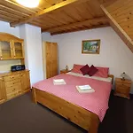 Feriested Wellness Penzionu U Michala 3*
