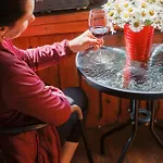 Feriested Wellness Penzionu U Michala 3*