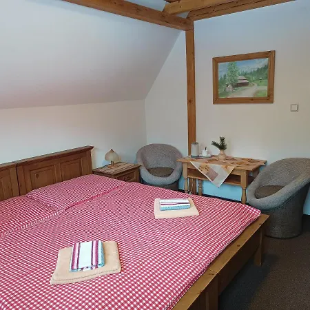 Wellness U Michala Guest house 3*