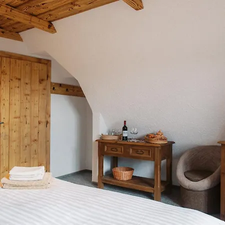 Penzion Wellness U Michala 3*