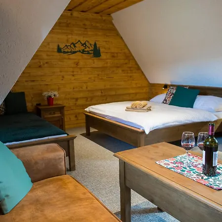 Wellness U Michala Guest house