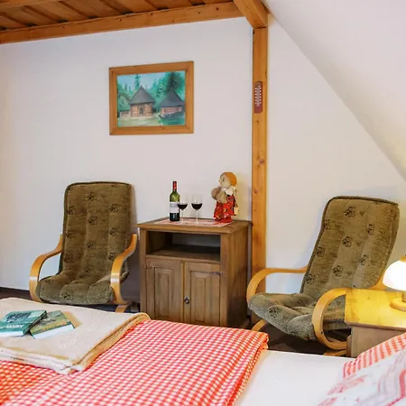 Wellness Penzionu U Michala 3*