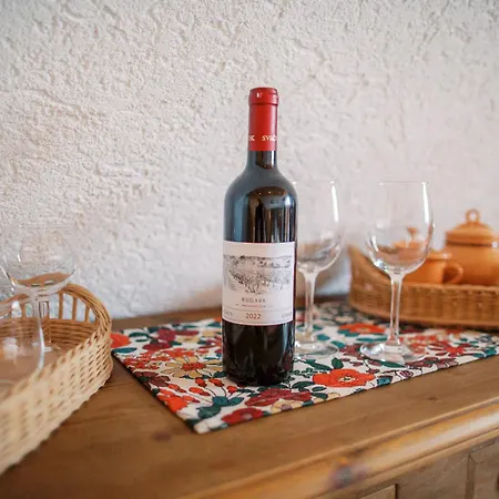 Guest house Wellness U Michala