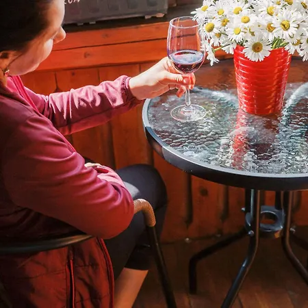 Vendégház Wellness U Michala 3*