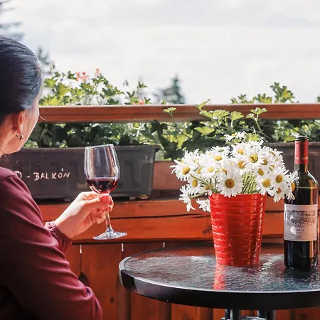 Vendégház Wellness U Michala