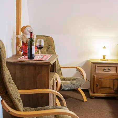 Wellness U Michala Penzion 3*