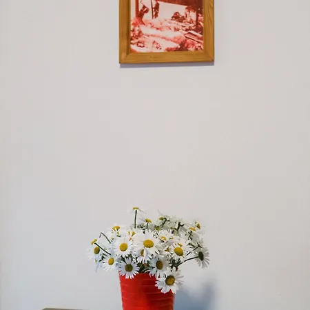 Wellness U Michala 3*