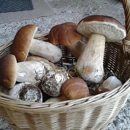 Wellness U Michala Vendégház Bölényfalu