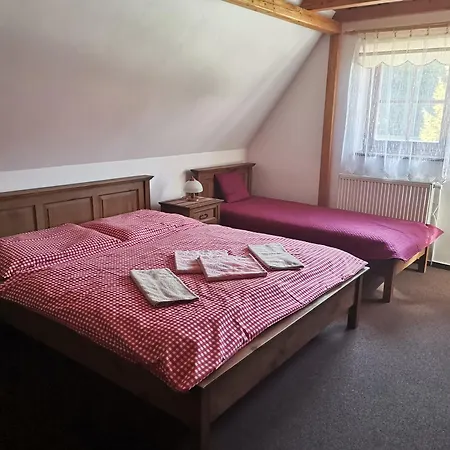 Wellness Penzionu U Michala 3*