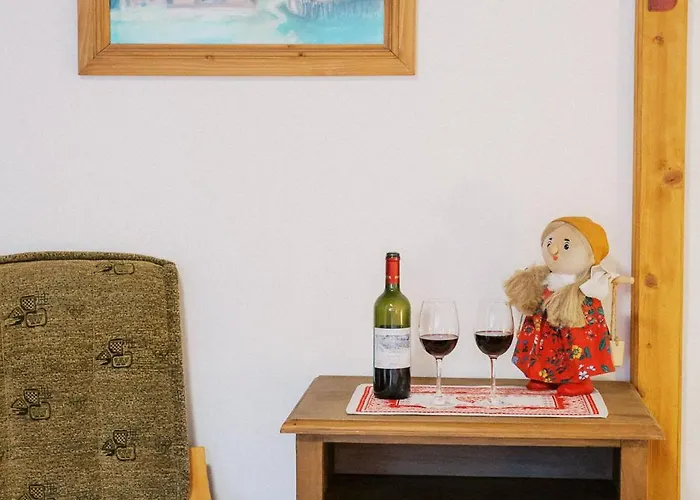 Guest house Wellness U Michala 3*