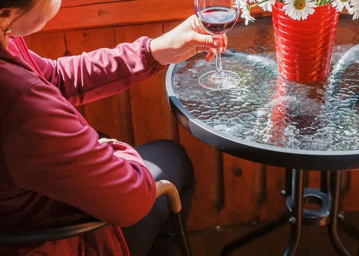 Guest house Wellness U Michala 3*