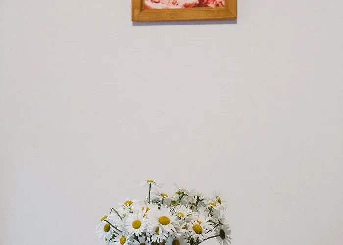 Wellness U Michala 3*